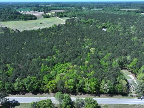 Hunting, Residential & Timber Land : Fairmont : Robeson County : North Carolina