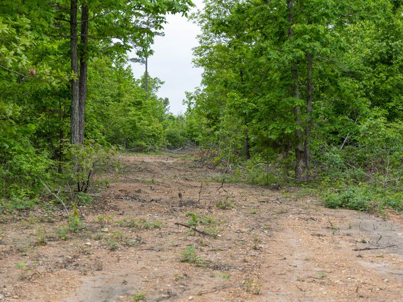 Sleepy Hollow Phase II Tract 88 : Hartshorn : Texas County : Missouri