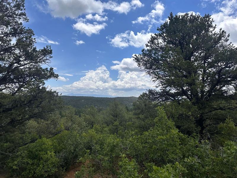 El Toro Way, Bon Carbo, Co 81082 : Bon Carbo : Las Animas County : Colorado