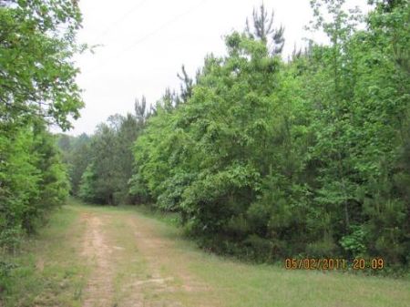 Unique Small Recreational / Hunting : Jonesville : Union County : South Carolina