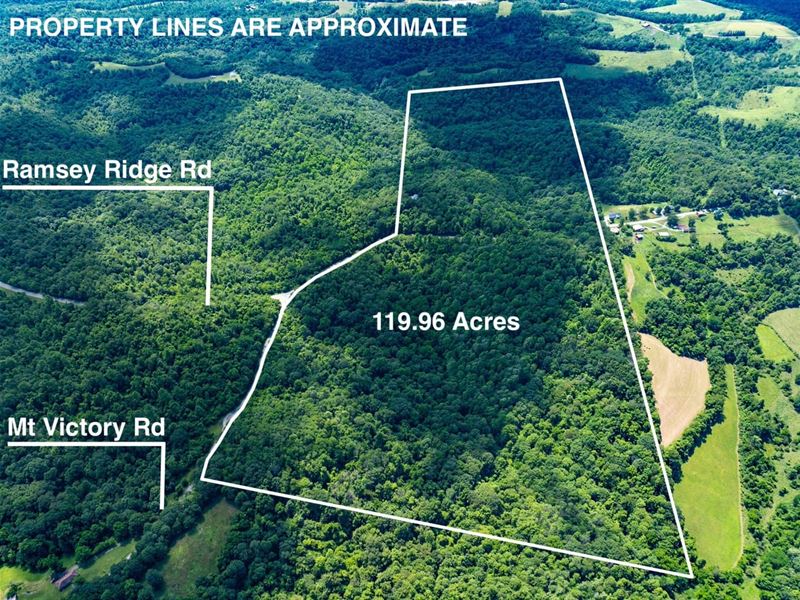 Ramsey Ridge Rd, 119 Acres, Belmo : Jacobsburg : Belmont County : Ohio