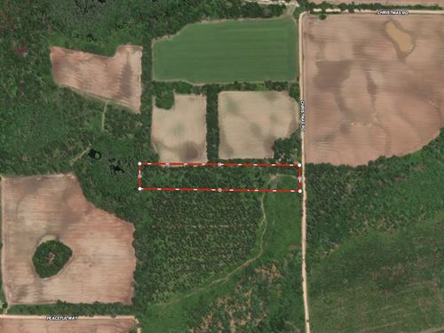 Christmas Road Tract Lot 9 : Campbellton : Jackson County : Florida
