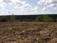 Views, Creek, Road Frontage : Evensville : Bledsoe County : Tennessee