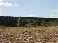 Creek, Partially Cleared, Views : Evensville : Bledsoe County : Tennessee