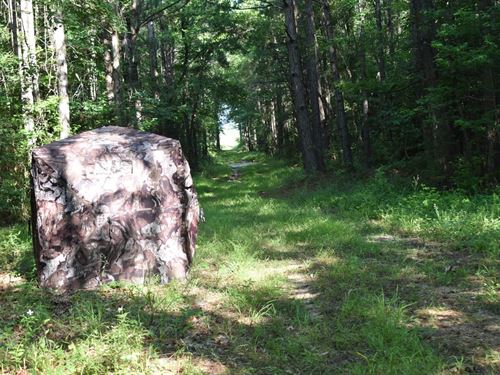 Gum Creek North : Stephens : Ouachita County : Arkansas