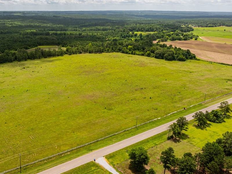 Welcome to Lilly Meadows, 6 Acre Ho : Deatsville : Autauga County : Alabama