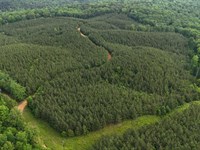 56 Acres in Iuka, Mississippi : Iuka : Tishomingo County : Mississippi