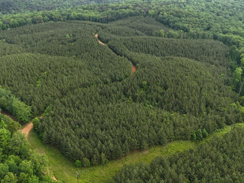 56 Acres in Iuka, Mississippi : Iuka : Tishomingo County : Mississippi