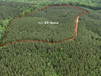CR 323 23 Acres : Iuka : Tishomingo County : Mississippi