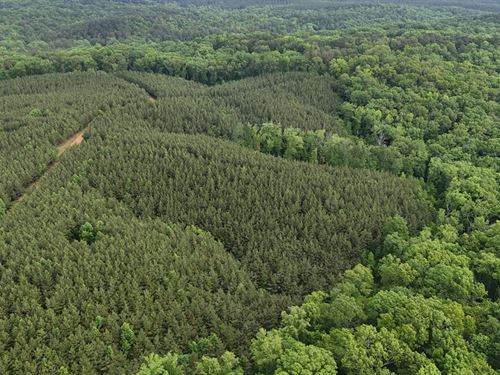 CR 323 29 Acres : Iuka : Tishomingo County : Mississippi