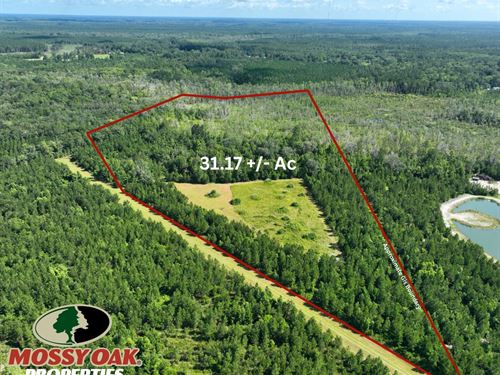31.17 Ac Land For Sale in Camden Co : Kingsland : Camden County : Georgia