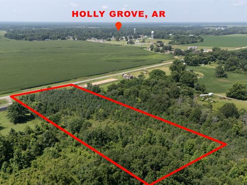 The Grove Tract : Holly Grove : Monroe County : Arkansas