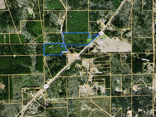 15.20 Ac Hwy 569, Liberty, MS : Liberty : Amite County : Mississippi