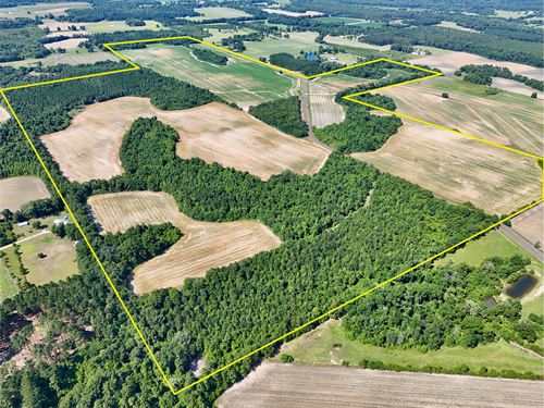 Dupree Tract : Ashford : Houston County : Alabama