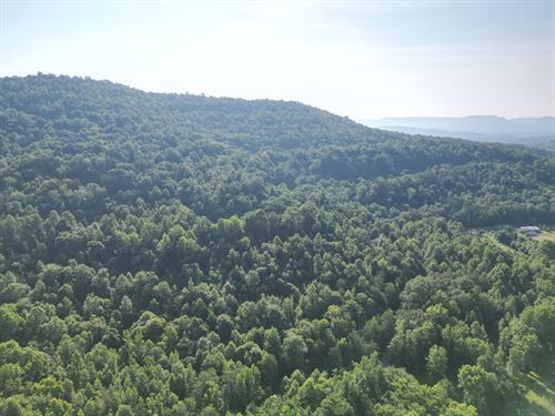 Sawmill Hollow 220 : Williamsburg : Whitley County : Kentucky