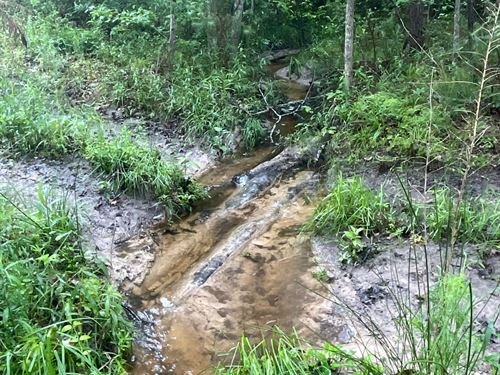 Atlanta Homestead 54 : Atlanta : Cass County : Texas