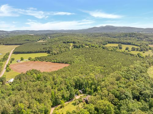 Acker 40 Acres : Piedmont : Cherokee County : Alabama