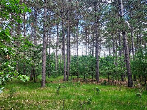 5.5 Acres by Wis Dells and Adams : Adams : Wisconsin