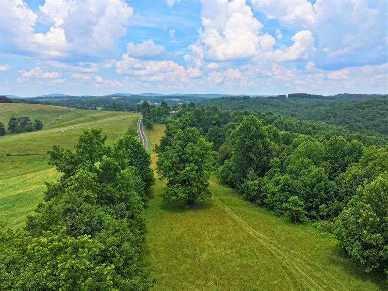 Skyline Pastures 49 Wooded Acre : Meadows Of Dan : Patrick County : Virginia