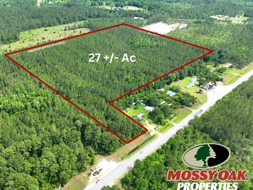 27 Ac Recreational Timberland : Jesup : Wayne County : Georgia