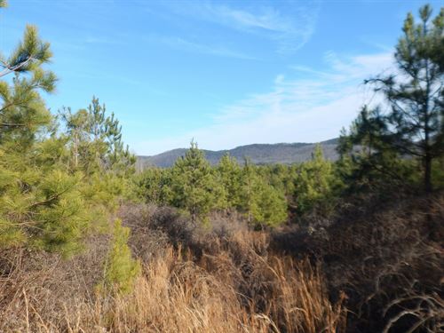 Garren 70 Acres : Attalla : DeKalb County : Alabama