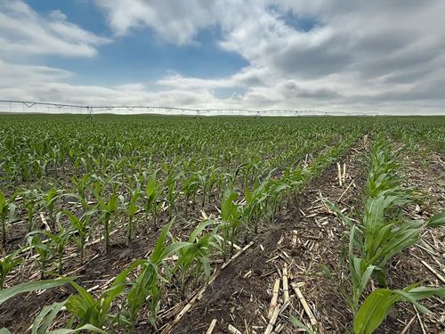 North Central Yuma County Pivot : Yuma : Colorado