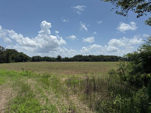 La, Richland 93 Acres : Rayville : Richland Parish : Louisiana