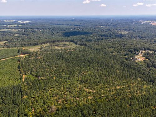 Buffalo Tract : Buffalo : Union County : South Carolina