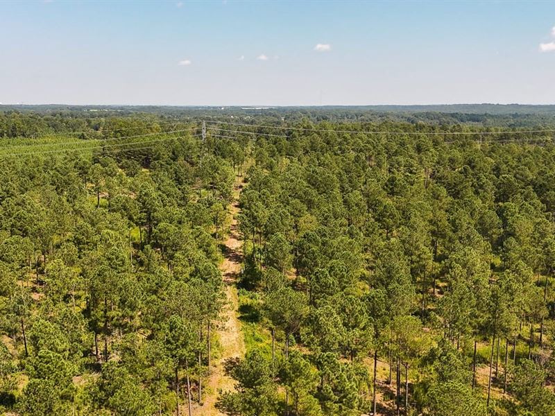 Buffalo Tract : Buffalo : Union County : South Carolina