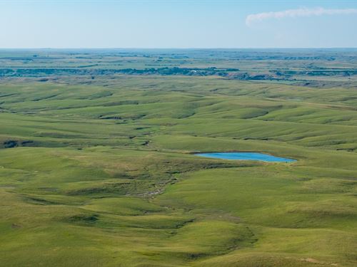 Meade County Summer Grass : New Underwood : Meade County : South Dakota