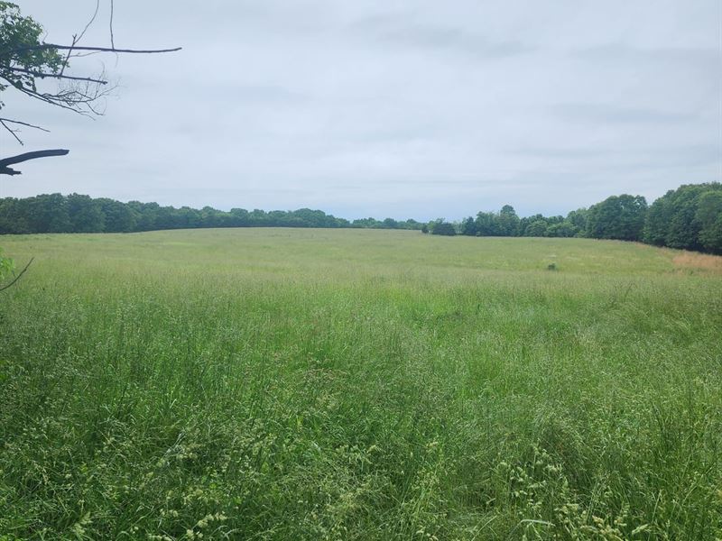 240 Ac Priced to Sell Motivated : Falcon : Laclede County : Missouri