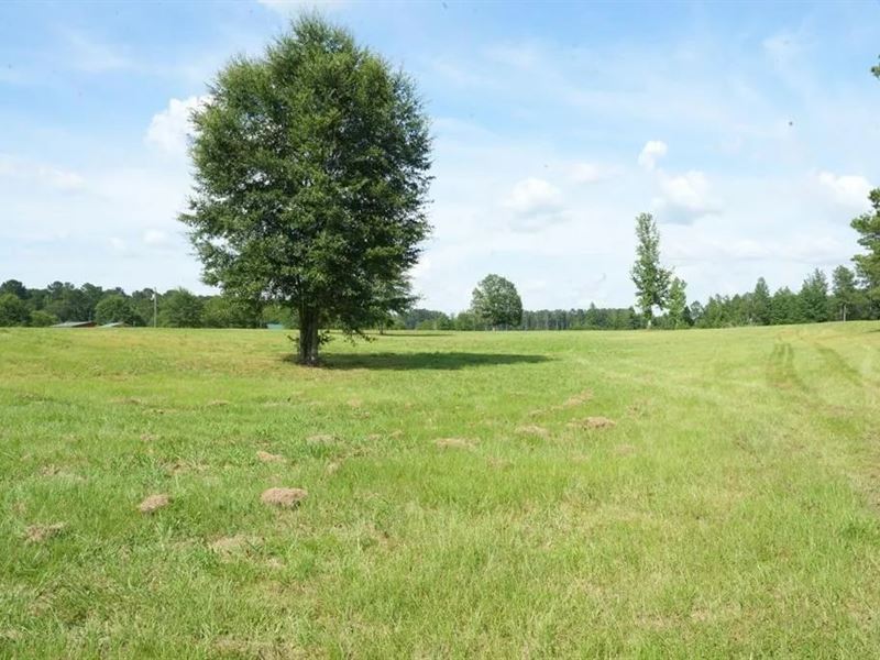 10 Acres Pastureland for Sale Walth : Jayess : Walthall County : Mississippi
