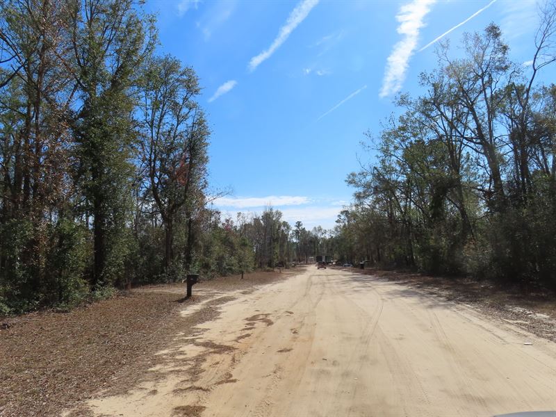 Unbelievable 8.2 Acre : Jennings : Hamilton County : Florida