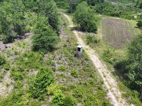 Eighty Is Enough : Ariton : Dale County : Alabama