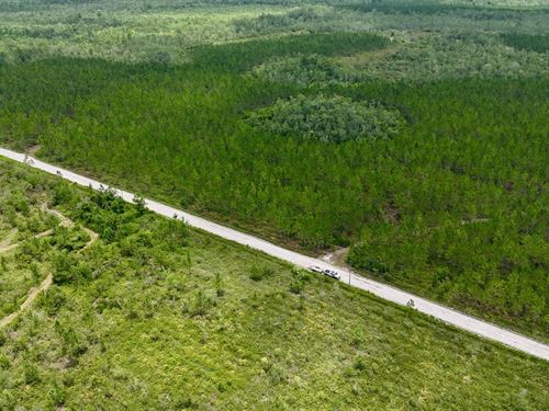 Fire Tower Pines 250 Acres : Manor : Ware County : Georgia