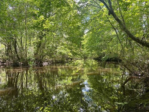 Little Ohoopee River Hunting & Timb : Wrightsville : Washington County : Georgia