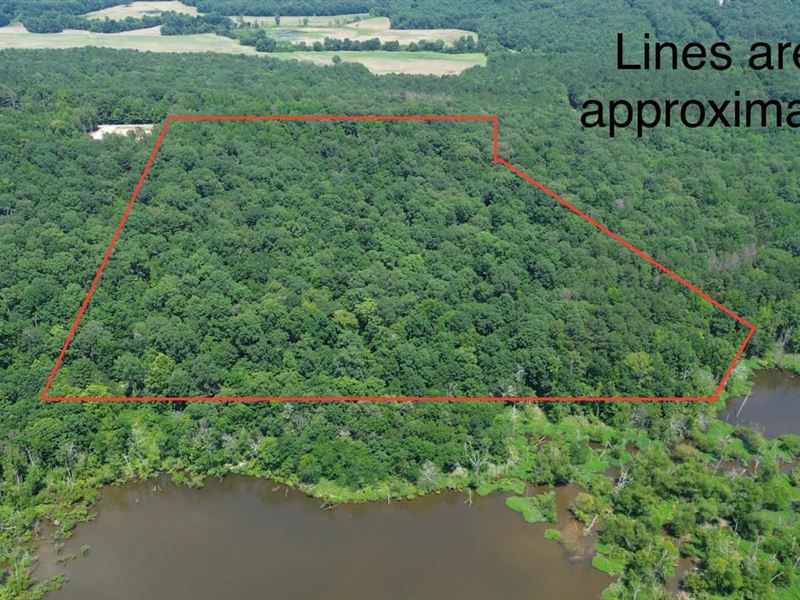 Lawrence County Wooded Homesite : Town Creek : Lawrence County : Alabama
