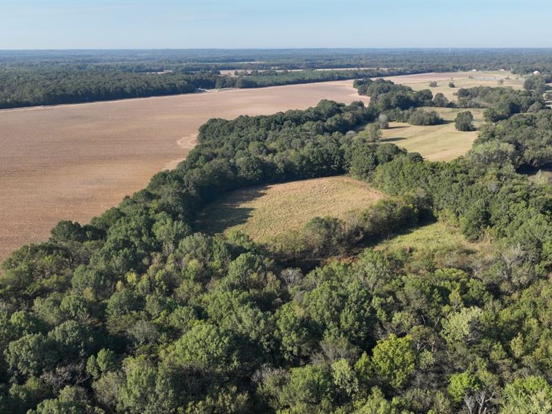Artesia Road, 454 Acres : Starkville : Oktibbeha County : Mississippi