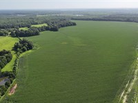 Artesia Road, 454 Acres : Starkville : Oktibbeha County : Mississippi