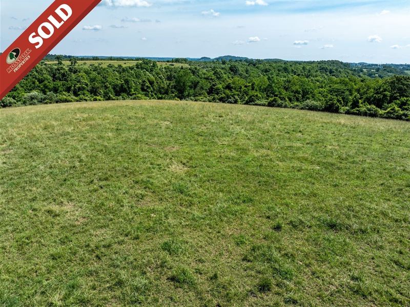 Saffel Rd, 12 Acres : Belmont : Belmont County : Ohio