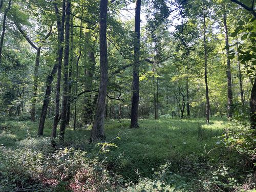 138 +/- Acres Wooded with Creek : Temple : Haralson County : Georgia