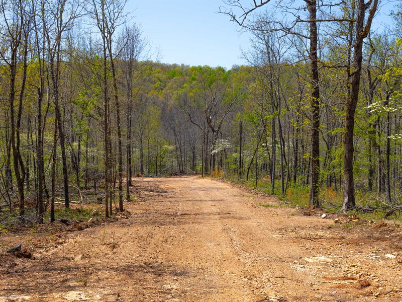 $999 Down Land Near Electricity : Mammoth Spring : Fulton County : Arkansas