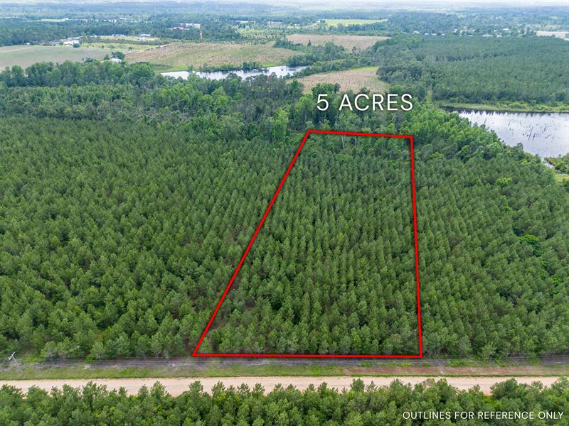 Tract 8 in Sanderling Road in Bacon : Alma : Bacon County : Georgia