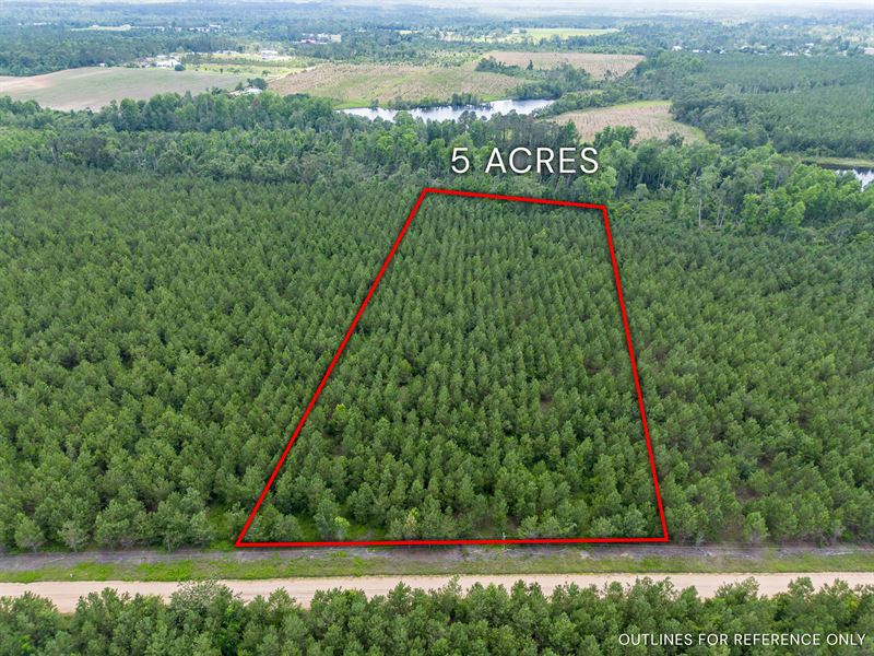 Tract 9 in Sanderling Road in Bacon : Alma : Bacon County : Georgia