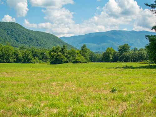 8.02 Acres in Cocke County TN : Cosby : Cocke County : Tennessee