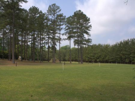 Beautiful, Well-maintained Parcel : Tennille : Washington County : Georgia