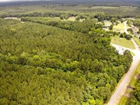 Ridge Road Lot 7, 65 Acres : Columbus : Lowndes County : Mississippi