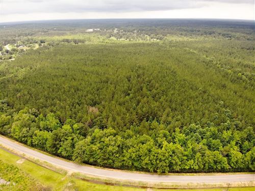 Ridge Road Lot 8, 41 Acres : Columbus : Lowndes County : Mississippi
