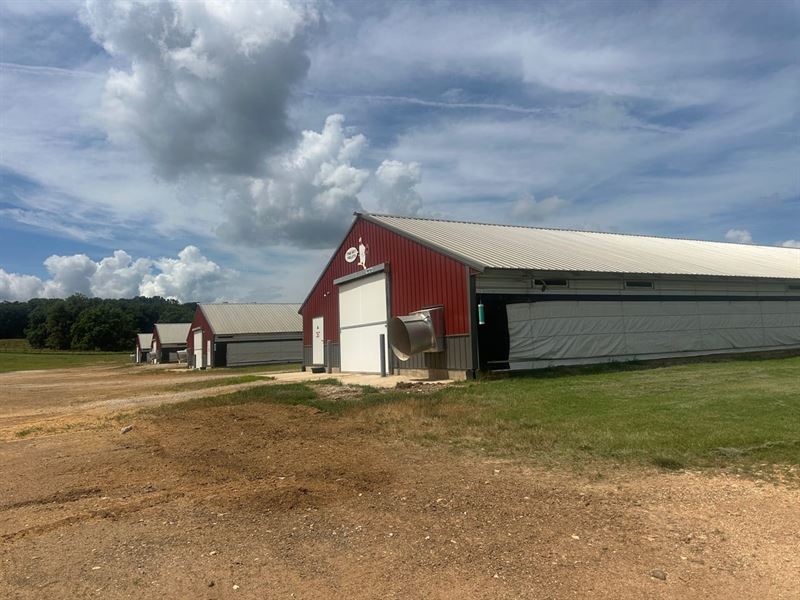 Pullet Poultry Farm on 290 Acre : Huntsville : Madison County : Arkansas