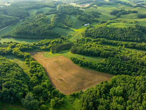 Trophy Whitetail Haven on 50 Acres : Mondovi : Buffalo County : Wisconsin